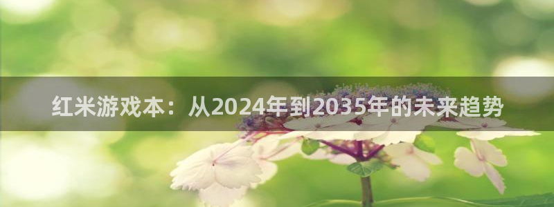 江苏蓝图娱乐官网智得新材料有限公司：红米游戏本：从2024年到2035年的未来趋势