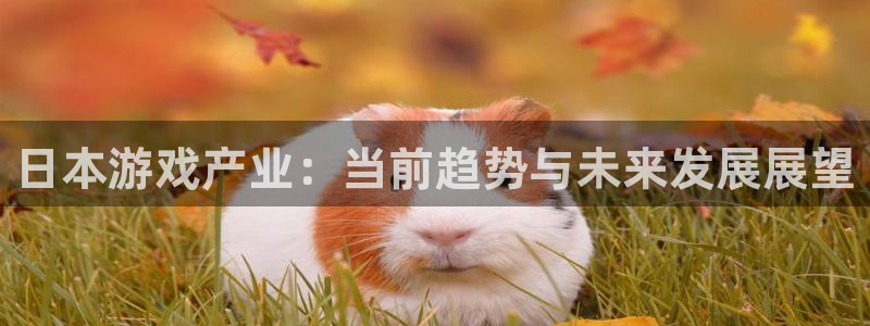 蓝图娱乐官网子年度最佳图书：日本游戏产业：当前趋势与未来发展展望