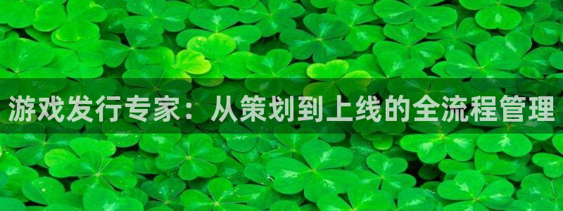 蓝图娱乐登录注册账号是什么意思：游戏发行专家：从策划到上线的全流程管理