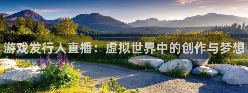 蓝图娱乐注册平台登录：游戏发行人直播：虚拟世界中的创作与梦想