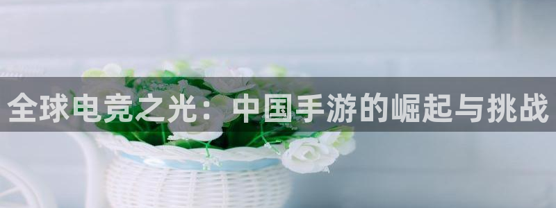 蓝图娱乐官网环境科技有限公司：全球电竞之光：中国手游的崛起与挑战