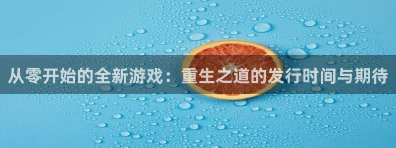 蓝图娱乐官网是哪个国家的衣服品牌：从零开始的全新游戏：重生之道的发行时间与期待